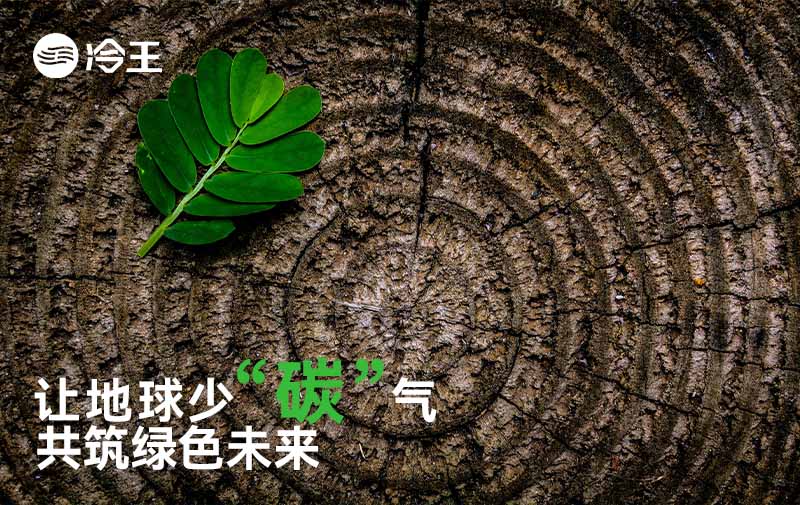 让地球少“碳”气：共筑绿色未来